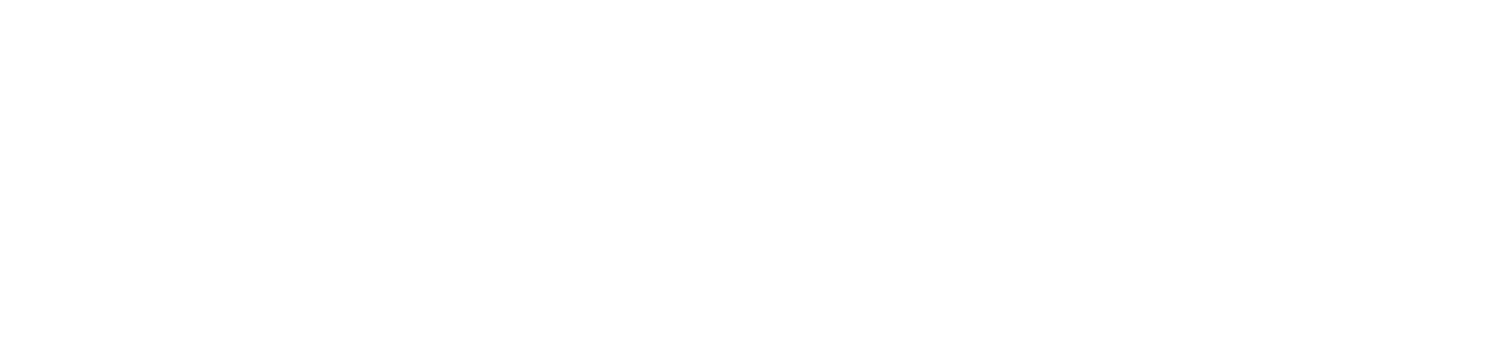 IPAlogohorizontalwhite